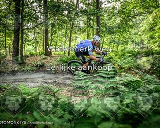 Bartje 200 photo