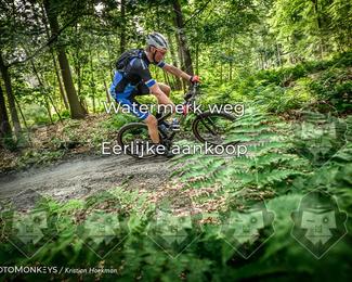 Bartje 200 photo