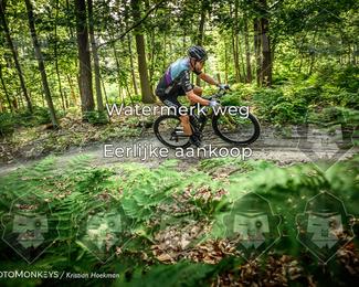 Bartje 200 photo