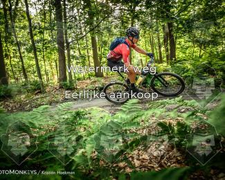 Bartje 200 photo