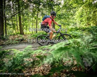 Bartje 200 photo