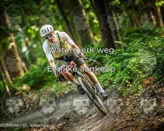 Bartje 200 photo