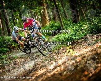 Bartje 200 photo
