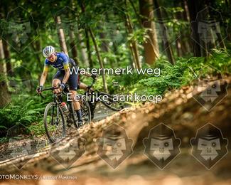 Bartje 200 photo