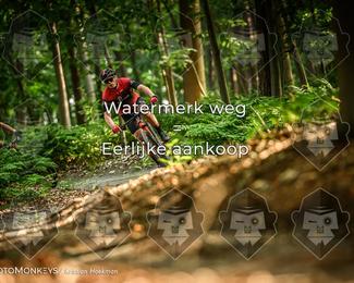 Bartje 200 photo
