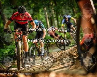 Bartje 200 photo