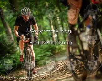 Bartje 200 photo