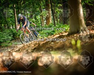 Bartje 200 photo