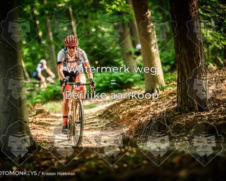Bartje 200 photo