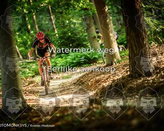Bartje 200 photo