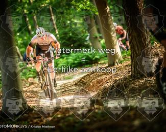 Bartje 200 photo