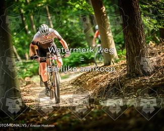 Bartje 200 photo