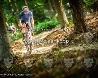 Bartje 200 photo