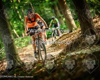 Bartje 200 photo