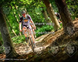 Bartje 200 photo