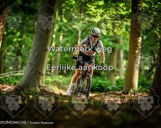 Bartje 200 photo
