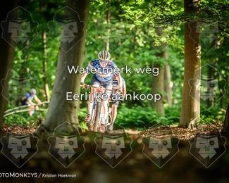 Bartje 200 photo