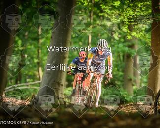 Bartje 200 photo