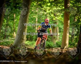 Bartje 200 photo