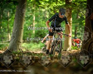 Bartje 200 photo