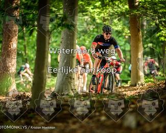 Bartje 200 photo