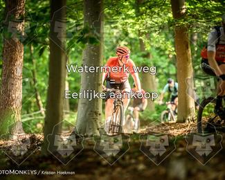 Bartje 200 photo