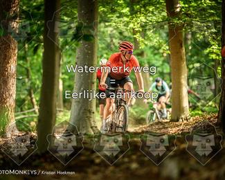 Bartje 200 photo