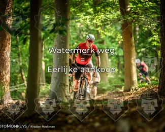 Bartje 200 photo