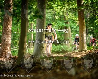 Bartje 200 photo