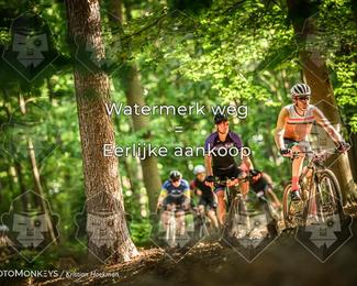 Bartje 200 photo