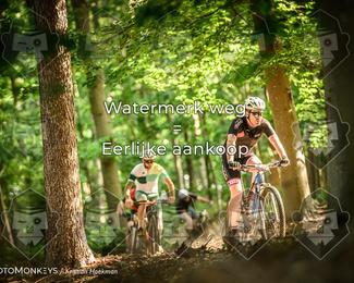 Bartje 200 photo