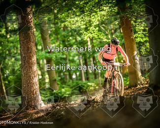 Bartje 200 photo