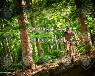 Bartje 200 photo