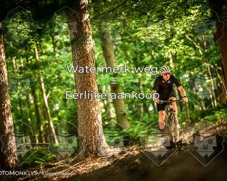 Bartje 200 photo