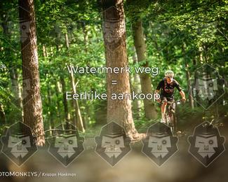 Bartje 200 photo