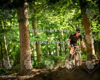 Bartje 200 photo