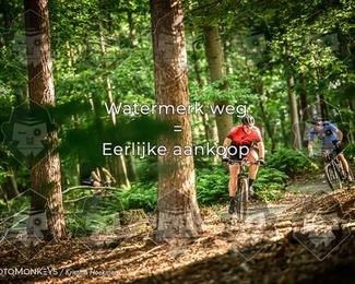 Bartje 200 photo