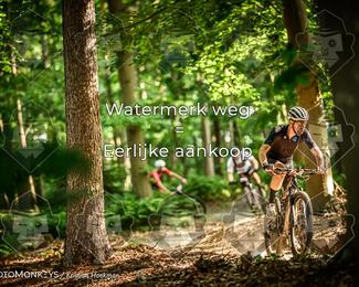 Bartje 200 photo