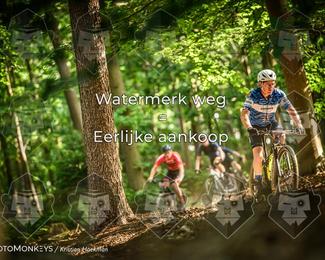 Bartje 200 photo