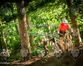 Bartje 200 photo