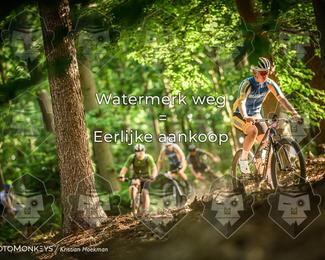 Bartje 200 photo