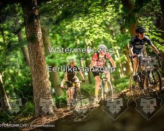 Bartje 200 photo