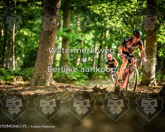 Bartje 200 photo