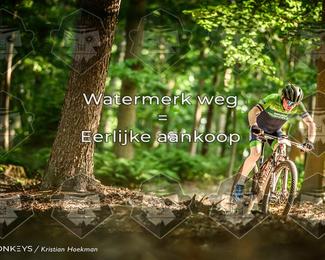 Bartje 200 photo