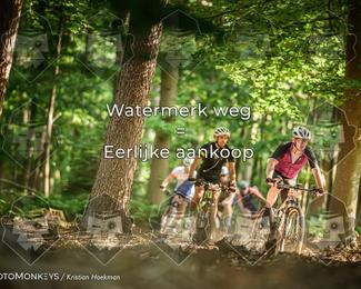 Bartje 200 photo