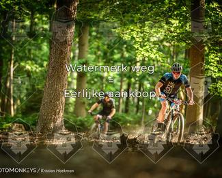 Bartje 200 photo
