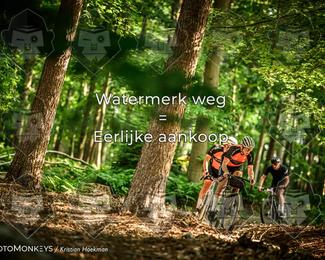 Bartje 200 photo