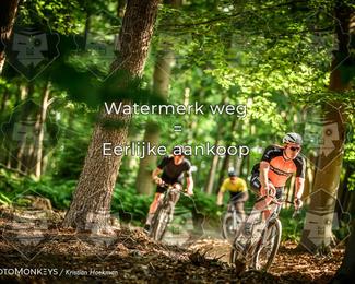 Bartje 200 photo