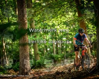 Bartje 200 photo