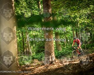 Bartje 200 photo